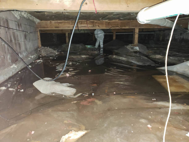 Trusted Water Damage Restoration in Belfast, ME | Fast, Reliable, and Ready to Assist You